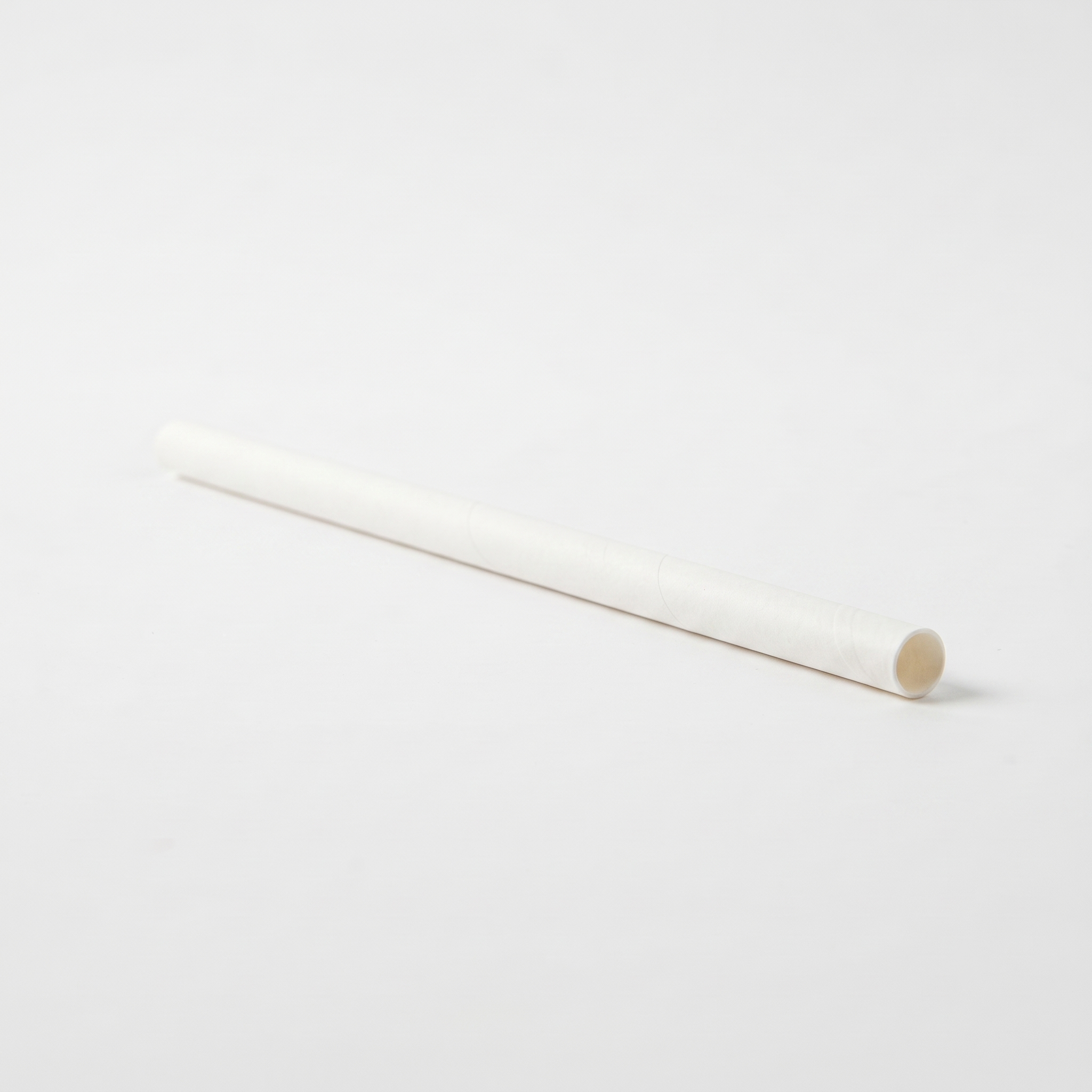Paper Straw view 2
