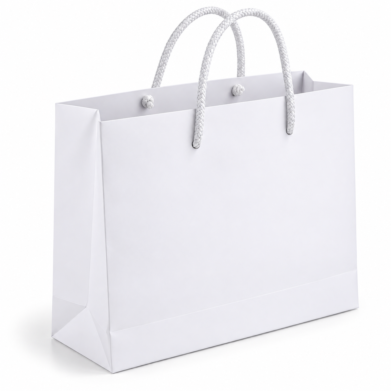 SBS Board Carry Bag