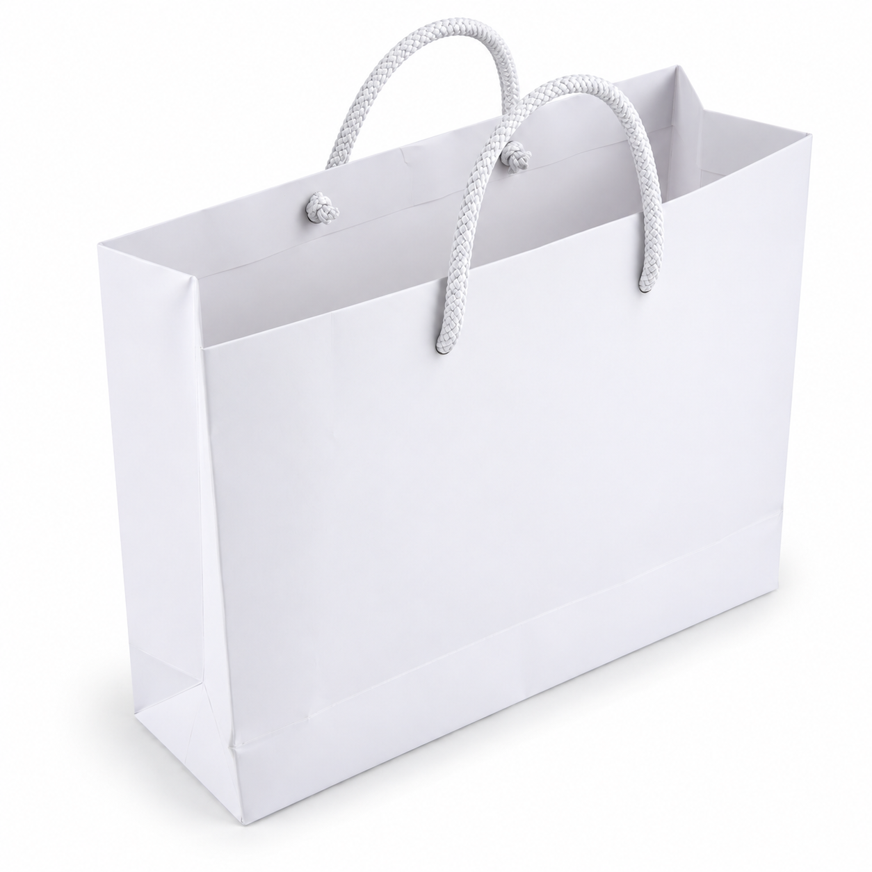 SBS Board Carry Bag view 2